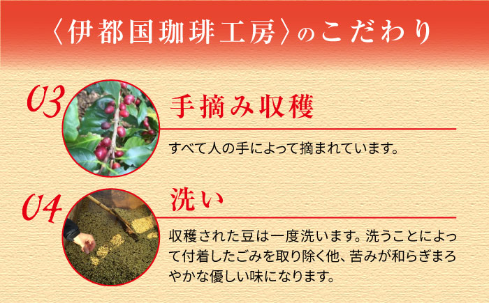 ドリップコーヒーギフト15袋セット《糸島》【伊都国珈琲工房】 [ACK002]