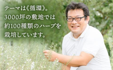 プティール倶楽部のバジルペースト ～ジェノベーゼ～ 3本セット 糸島市 / プティール倶楽部 伊都国【いとしまごころ】[ACZ002] バジル ソース