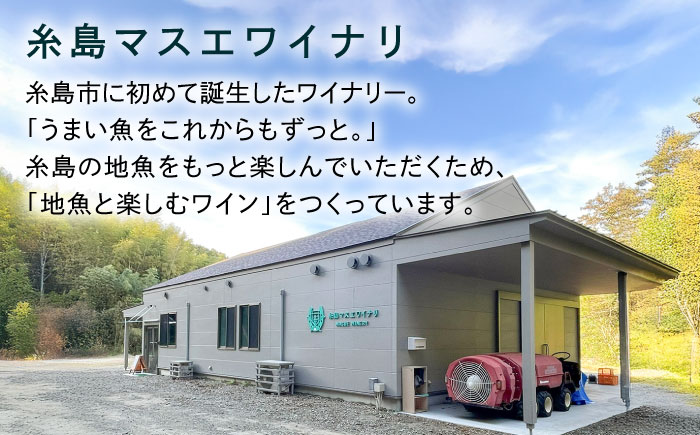 【糸島マスエワイナリ】STILL 醸し 1本 糸島市 / いとしのいとしま ワイン お酒 [AEP005]