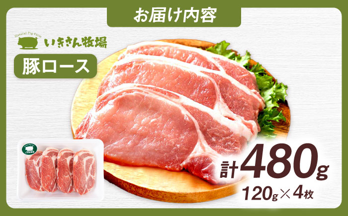 一貴山豚 ロースとんかつ・トンテキ用 計480g(120g×4枚) 糸島市 / いきさん牧場 豚肉 冷凍 [AGB030] 冷凍