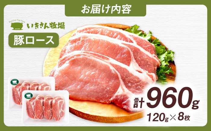 一貴山豚 ロースとんかつ・トンテキ用 計960g(120g×8枚) 糸島市 / いきさん牧場 豚肉 冷凍 [AGB031] 冷凍