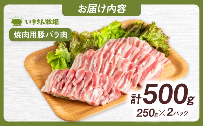 一貴山豚 焼肉用バラ肉 計500g(250g×2p) 糸島市 / いきさん牧場 豚肉 冷凍 [AGB034] 冷凍