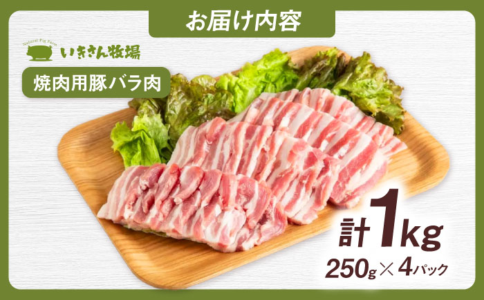 一貴山豚 焼肉用バラ肉 計1kg(250g×4p) 糸島市 / いきさん牧場 豚肉 冷凍 [AGB035] 冷凍