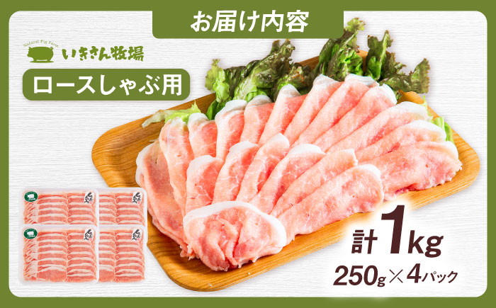 一貴山豚 ロースしゃぶ用 計1kg(250g×4p) 糸島市 / いきさん牧場 豚肉 冷凍 [AGB045] 冷凍