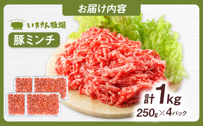 一貴山豚 ミンチ 計1kg(250g×4p) 糸島市 / いきさん牧場 豚肉 冷凍 [AGB053] 冷凍