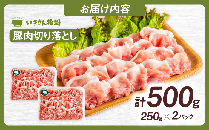 一貴山豚 切り落とし 計500g(250g×2p)  糸島市 / いきさん牧場 豚肉 冷凍 [AGB056] 冷凍