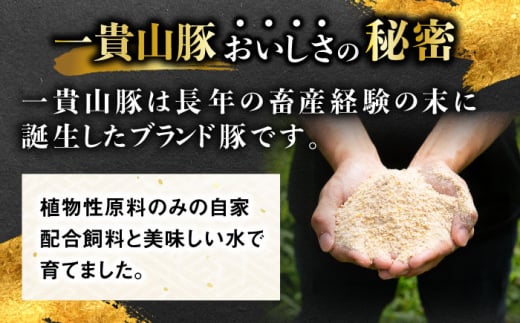 一貴山豚 ヴァイスブルスト 20本(5本×4パック) 糸島市 / いきさん牧場 豚肉 ソーセージ [AGB067]