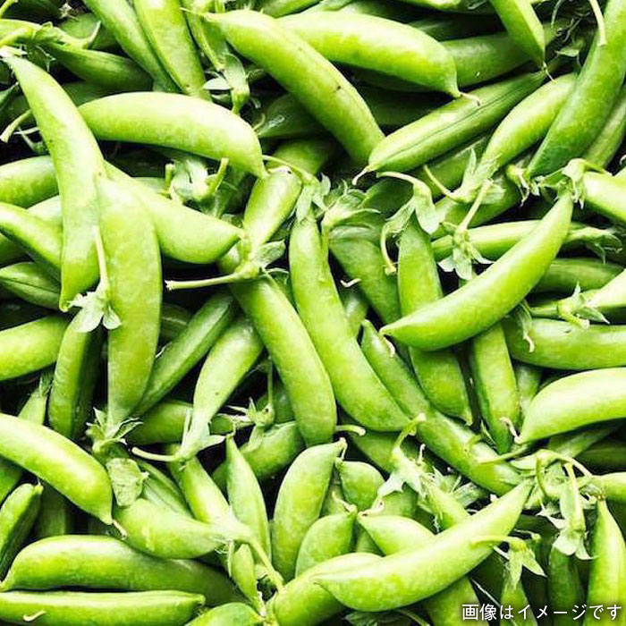 【 福岡県 糸島産 】 朝採れ 野菜 セット （ 12品 前後 ） 《糸島》【オーガニックナガミツファーム】 	[AGE023]