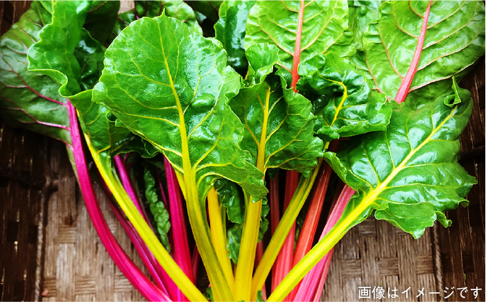 【 糸島 の 福袋 ！ 】朝採り オーガニック 旬 野菜 お任せ 5品 ＋ 糸島産 大ヒット 特産 加工品 2品 のセット《糸島》【オーガニックナガミツファーム】 	[AGE028]