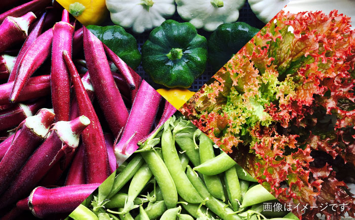 【全3回定期便】【☆畑直送☆栽培期間中農薬不使用！】お 米 2kg & 野菜 5品 の セット 糸島市 / オーガニックナガミツファーム 	[AGE036]