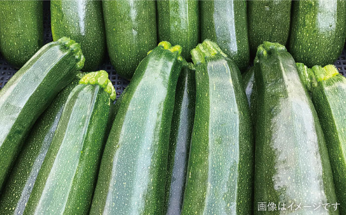 ☆キャンプにもおすすめ☆バーベキュー・グリル用朝採れ野菜特選セット【福岡県糸島産】(7～8人分) 糸島市 / オーガニックナガミツファーム 野菜 詰め合わせ         [AGE039]