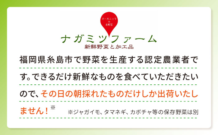 オクラ 500g 冷凍 旬の時期に急速冷凍 【福岡県糸島産】 糸島市 / オーガニックナガミツファーム 野菜 おくら 	[AGE044]