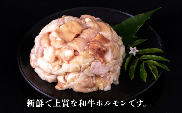 糸島牛 ホルモンミックス 400g  糸島市 / 一番田舎 黒毛和牛 和牛 [AGN005]