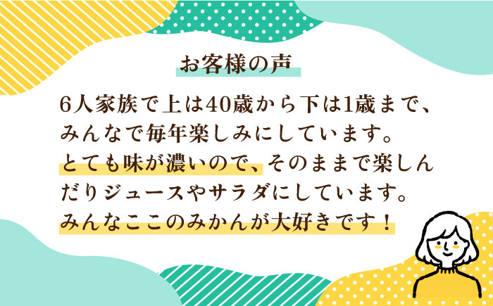 【先行予約販売】糸島県産 柑橘詰め合わせセット 糸島市 / シーブ [AHC062] 紅八朔 ネーブル はるか