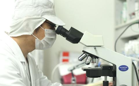 【2ヶ月に1回1本お届け】U-MAシャンプープレミアム（6ヶ月定期便：計3本） ZEROPLUS [AHE007]