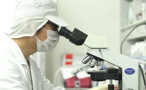 【2ヶ月に1回1本お届け】U-MAシャンプープレミアム（12ヶ月定期便：計6本）ZEROPLUS [AHE008]