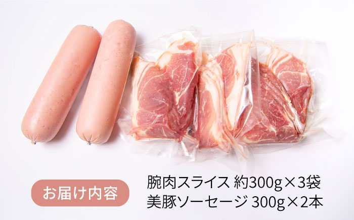 【限定20品！】竹原さんちの美豚ギフトセットA（ソーセージ300g×2本＋腕スライス約300g×3袋） 糸島市 / 竹原さんちの美豚[AHK001]