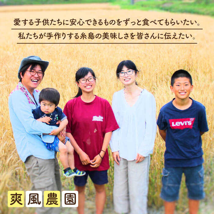 【数量限定！】にんにく1kg 大きい！美味しい！糸島市からお届けする自慢のにんにくです【爽風農園】にんにく/ガーリック 【いとしまごころ】[AHZ002]