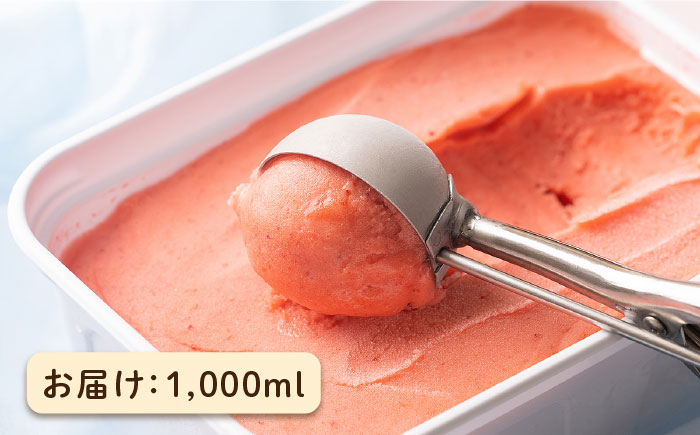 【先行予約】糸島産 濃厚 あまおう ジェラート 1000ml 【2026年4月以降順次発送】いちご アイスクリーム《糸島》【南国フルーツ株式会社】 [AIK005]