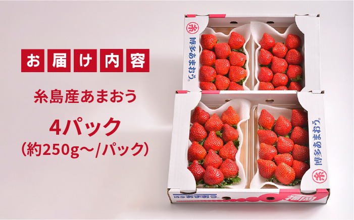【先行予約】糸島産【冬】 あまおう 4パック 【2025年12月上旬以降順次発送】《糸島》【南国フルーツ株式会社】 [AIK006]