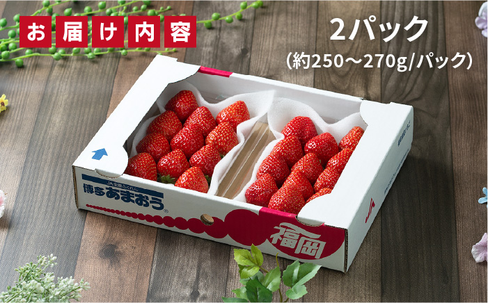 【先行予約】糸島産【冬】 あまおう 2パック  【2025年12月上旬以降順次発送】《糸島》【南国フルーツ株式会社】 [AIK007]