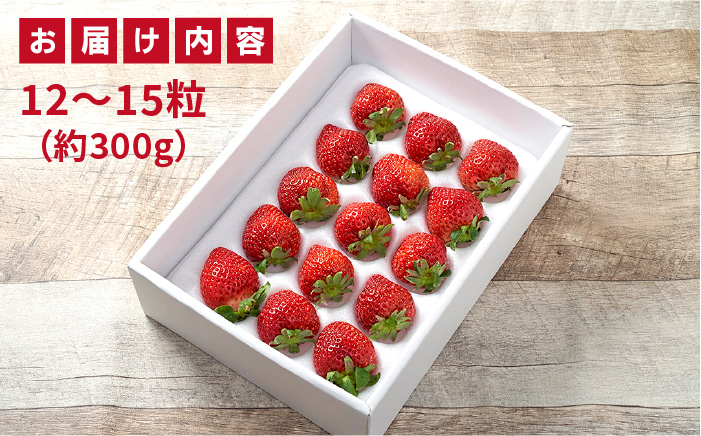 【先行予約】糸島産 あまおう ギフト 箱 ( 12-15粒 )  【2025年12月上旬以降順次発送】《糸島》【南国フルーツ株式会社】 [AIK010]