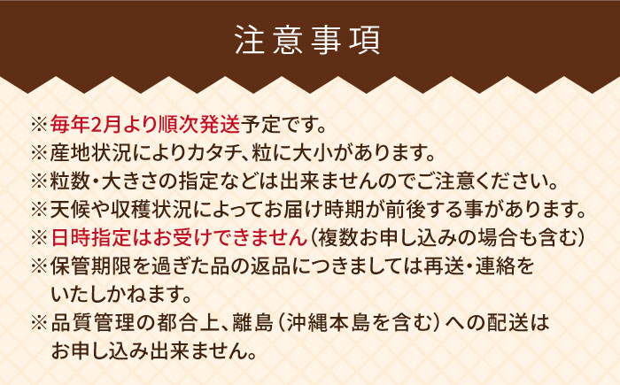 【先行予約】【全2回定期便】糸島産【春】 あまおう 6パック 毎月計1.5kg 【2026年2月より順次発送】糸島市 / 南国フルーツ株式会社 [AIK027]