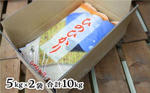 【年内発送】【令和7年産新米】 糸島産 ひのひかり 10kg 糸島市 / 三島商店 [AIM004] 米 白米