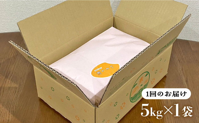 【令和7年産新米】【全3回定期便】いとし米 厳選ひのひかり 5kg×3回 (糸島産) 糸島市 / 三島商店[AIM024] 白米米 白米お米 白米ご飯 白米ひのひかり 白米ヒノヒカリ 白米九州 白米福岡 白米5キロ 白米ギフト 白米贈り物 白米贈答 白米お祝い 白米お返し 白米定期便