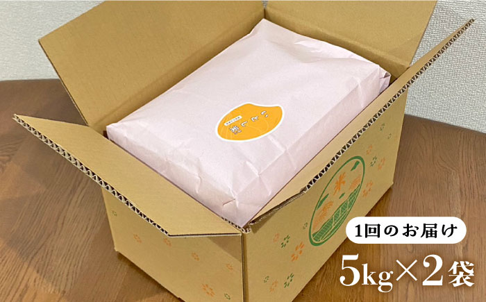 【令和7年産新米】【全6回定期便】いとし米 厳選ひのひかり 10kg×6回(糸島産) 糸島市 / 三島商店[AIM051] 白米米 白米お米 白米ご飯 白米ひのひかり 白米ヒノヒカリ 白米九州 白米福岡 白米5キロ 白米ギフト 白米贈り物 白米贈答 白米お祝い 白米お返し 白米定期便