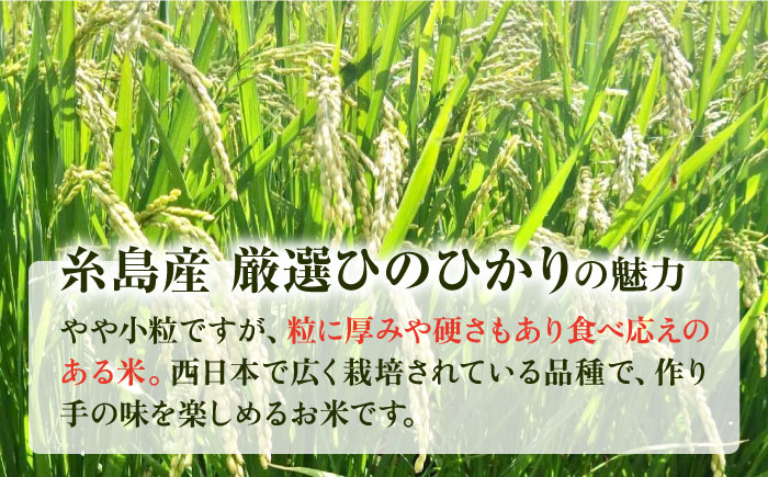 【年内発送】【令和7年産新米】いとし米 厳選ひのひかり 2kg(糸島産) 糸島市/三島商店 [AIM063]