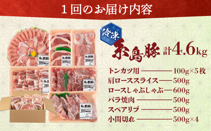 【全6回定期便】計4.6kg！糸島豚 食べ尽くしセット ( とんかつ / 肩ロース / しゃぶしゃぶ / 豚バラ / スペアリブ / 小間切れ ) 糸島市 / トラヤミートセンター [AJD013]