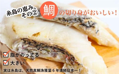 鯛だしまるいとちゃんぽん（2食入）×3 合計6食 やますえ [AKA017]