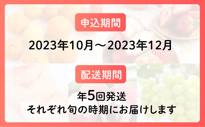 【全5回】糸島厳選くだもの定期便 約2人前 フルーツ 果物 糸島市 / やますえ あまおう シャインマスカット 桃 ライチ [AKA072]