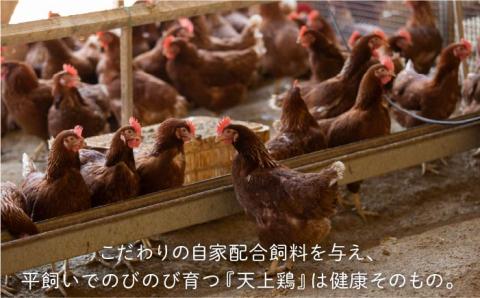 20個 セット 鶏卵 卵 玉子 たまご タマゴ 平飼い 平飼い卵 平飼い鶏 高級 高級卵 新鮮 新鮮卵 自然 自然卵 健康 健康卵 自家配合飼料 人気卵  おすすめ卵 玉子かけご飯 卵かけご飯 玉子焼き 卵焼き 生卵 生玉子 生タマゴ 贈答用 ギフト