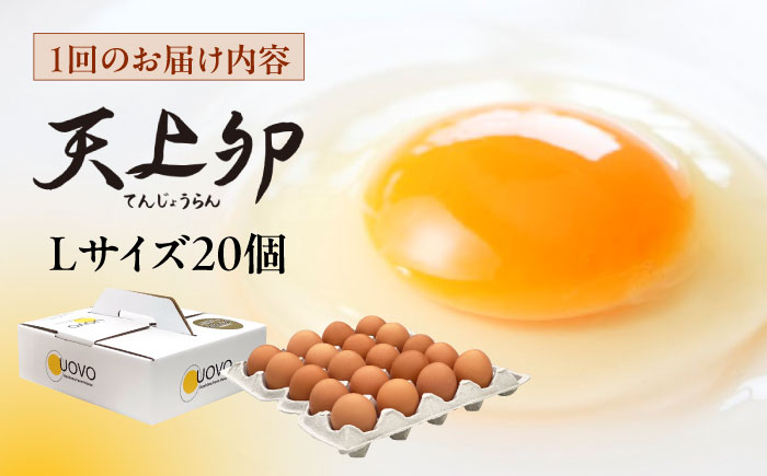 ★12回定期便★こだわりの卵「天上卵」20個セット/鶏卵/平飼い/たまご/玉子 [AKH004]