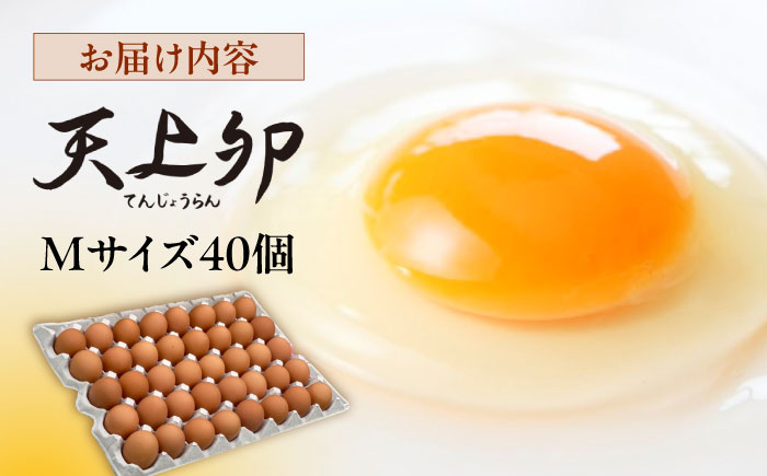 こだわりの卵「天上卵」40個セット 糸島ファームハウスUOVO/鶏卵/平飼い/たまご/玉子 [AKH005] 平飼い卵 平飼い卵 平飼い卵 平卵 平飼い卵 平飼い卵 平飼い卵 平飼い卵 平飼い卵 平飼い卵飼い 平飼い卵 平飼い卵