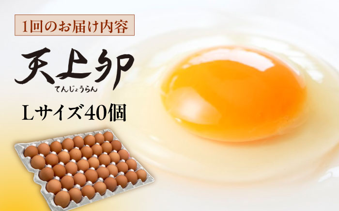 ★12回定期便★ こだわりの卵「天上卵」40個セット 糸島ファームハウスUOVO/鶏卵/平飼い/たまご/玉子 [AKH008]