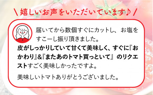 樹上でポーッと熟れた 甘～い トマト 2kg 《糸島》 【松尾農園】 [AKI001]