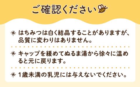 福岡 糸島産 生はちみつ （ 夏 の 百花蜜 450g ） 糸島市 / 糸島二丈サクランボ農園 [AKJ002]