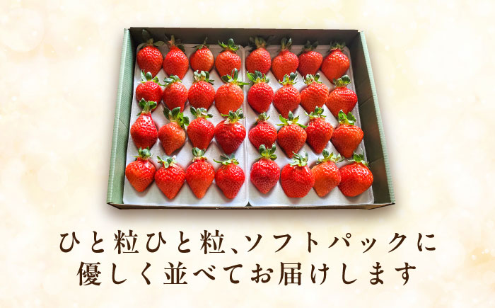 【先行予約】【化粧箱】あまおう いちご 600g以上 【2026年1月以降順次発送】 糸島市 / 株式会社フルコンス [ALO001]