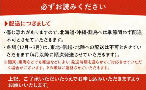 胡蝶蘭 お楽しみ定期便 [年6回]≪糸島≫【はざま園芸】ご家庭用/贈り物/お祝いごと [AND003]