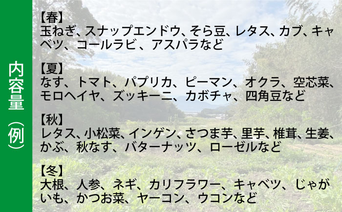 【全4回定期便】毎シーズンお届け！季節の野菜詰め合わせ ＜おまかせ10品以上＞《糸島市》【ひめしま渡船直売所】 [ANJ002]