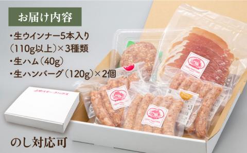【年内発送】特製 生ハンバーグ 生ハム 生ウインナー 3種 セット 糸島市 / 志摩スモークハウス 肉 加工品 贈り物 セット [AOA028]