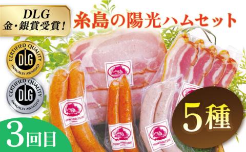 【全3回定期便】 ウインナー / ハンバーグ / ハム 月替り セット 糸島市 / 志摩スモークハウス 生ハム[AOA038]