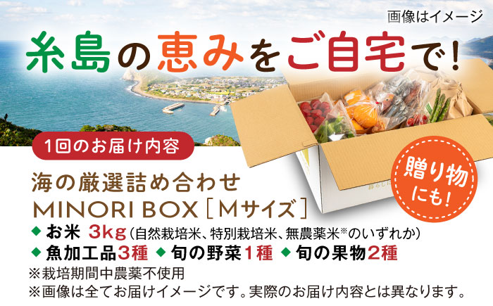 【全4回定期便 令和7年産新米】糸島産 魚 米 野菜 果物 厳選詰め合わせ MINORI BOX Mサイズ【季節ごとに年4回お届け】 糸島市 / emma.Inc / 米 魚 野菜 果物 詰め合わせ [AOP005]