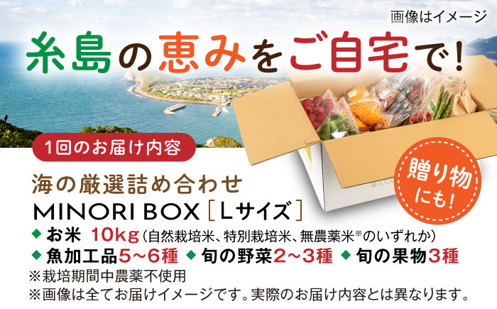 【全4回定期便 令和7年産新米】糸島産 魚 米 野菜 果物 厳選詰め合わせ MINORI BOX Lサイズ【季節ごとに年4回お届け】　糸島市 / emma.Inc / 米 魚 野菜 果物 詰め合わせ [AOP006]