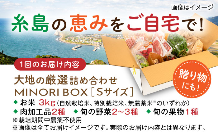 【全3回定期便】糸島産 肉 米 野菜 果物 厳選詰め合わせ MINORI BOX Sサイズ 糸島市 / emma.Inc / 米 肉 野菜 果物 詰め合わせ [AOP008]