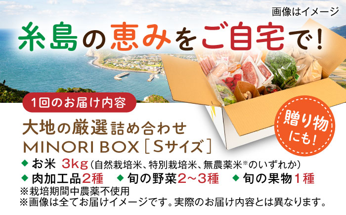 【全6回定期便】糸島産 肉 米 野菜 果物 厳選詰め合わせ MINORI BOX Sサイズ 糸島市 / emma.Inc / 米 肉 野菜 果物 詰め合わせ [AOP009]