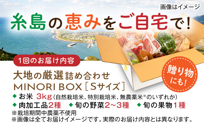【全12回定期便】糸島産 肉 米 野菜 果物 厳選詰め合わせ MINORI BOX Sサイズ 糸島市 / emma.Inc / 米 肉 野菜 果物 詰め合わせ [AOP010]